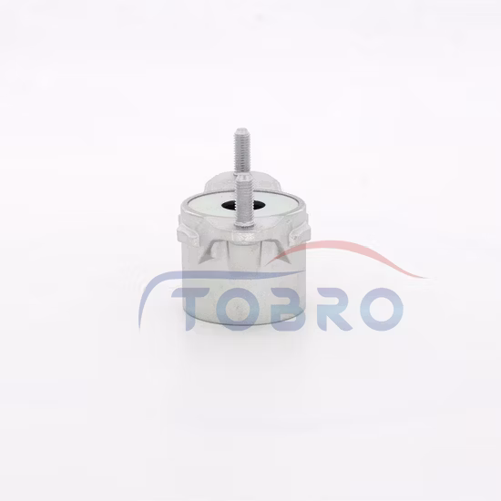 Tobro Suspensión Auto Partsshock Amortiguador 21031000 2463260064 Montaje del puntal de montaje para Mercedes Benz a